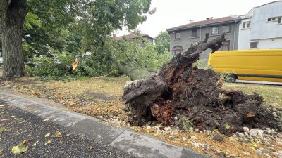 Мощна буря премина през няколко села в Силистренско Много пътища