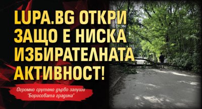 Бдителният обектив на Lupa bg намери обяснение защо днес на изборите