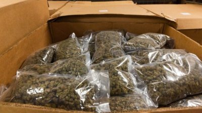 На 350 килограма марихуана бяха открити при акция на  Националната