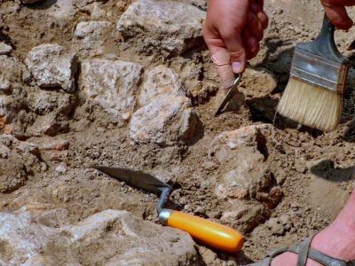 Намериха човешки кости и останки от ковчег при изкоп край строеж в Добрич