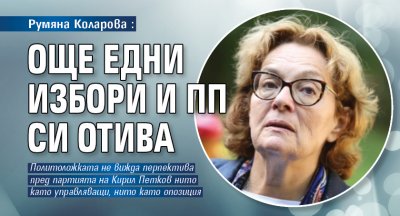 Румяна Коларова: Още едни избори и ПП си отива