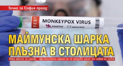 Точно за София прайд: Маймунска шарка плъзна в столицата