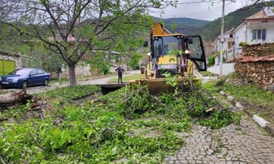 Доброволци разчистват село Шипка след погрома от градушката