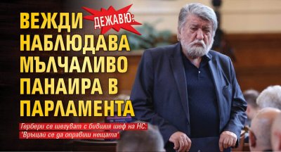 Дежавю: Вежди наблюдава мълчаливо панаира в парламента