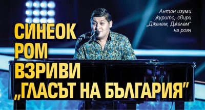 Синеок ром взриви "Гласът на България"