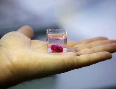 Представиха принтирано 3D сърце от човешка тъкан (СНИМКИ)