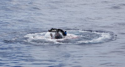 Сензационно: Бактерии на дъното на Океана се хранят с петрол 