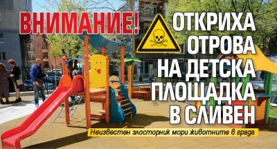 Внимание! Откриха отрова на детска площадка в Сливен