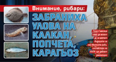 Внимание, рибари: забраниха улова на калкан, попчета, карагьоз