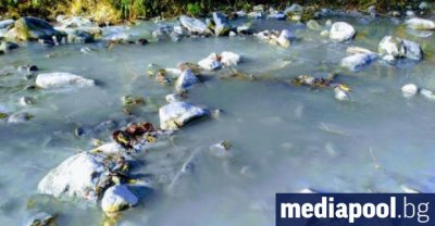 Нено Димов: Река Драговищица не е отровена