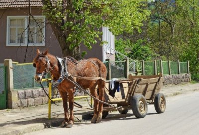 10-годишно дете е в тежко състояние след падане от каруца