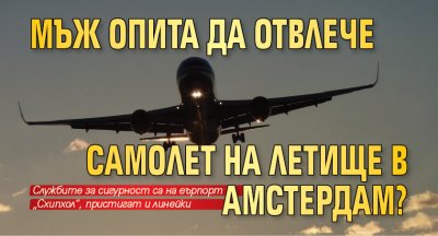 Мъж опита да отвлече самолет на летище в Амстердам?