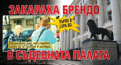 Първо в Lupa.bg: Закараха Брендо в Съдебната палата 