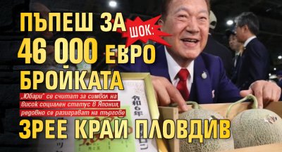 ШОК: Пъпеш за 46 000 евро бройката зрее край Пловдив