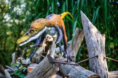 Бразилски учен е идентифицирал вкаменелости на малко крокодилоподобно влечуго живяло
