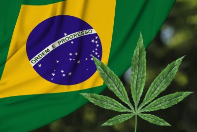 Върховният съд на Бразилия узакони притежанието на марихуана за лична
