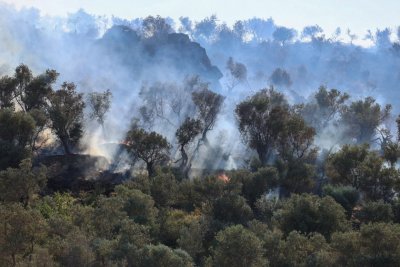 В Гърция е в сила предупреждение за опасност от горски