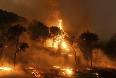 Гърция е обхваната от пожари Евакуират туристи Има затворени пътища