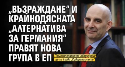 „Възраждане“ и крайнодясната „Алтернатива за Германия“ правят нова група в ЕП