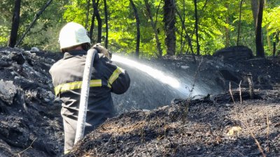 Голям пожар гори между варненските села Игнатиево и Доброглед информираха