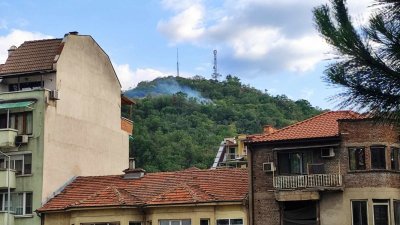 Пожар горя на Младежкия хълм в Пловдив