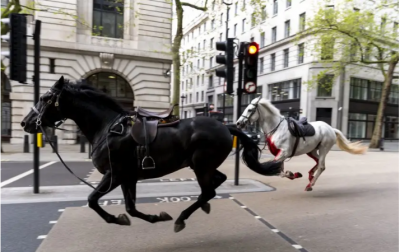 Три кавалерийски коня пак избягаха в Лондон 