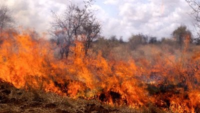 Голям пожар вилнее край Бургас