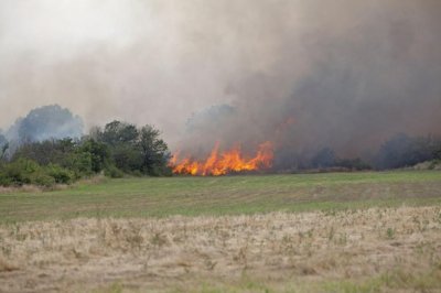 Пожар гори в землището на селата Малко Тръново и Свобода край