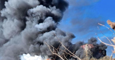 Пожар погълна над 100 декара жито край Балчик