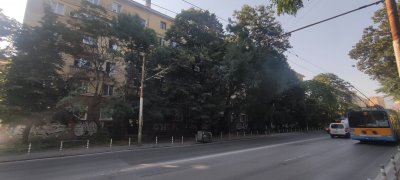 Природозащитникът Тома Белев се закани с гневен пост във Фейсбук