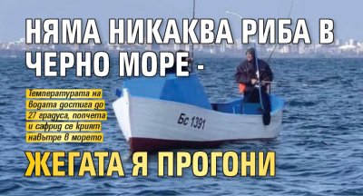 Няма никаква риба в Черно море - жегата я прогони