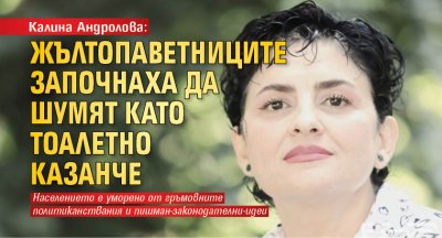 Калина Андролова: Жълтопаветниците започнаха да шумят като тоалетно казанче 