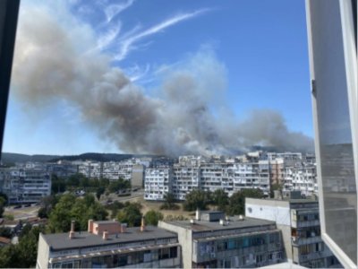 Пожарът край варненския квартал Владислав Варненчик е локализиран съобщава БТА