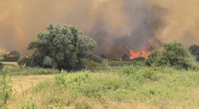 Критична остава ситуацията с пожара който гори в Гърция близо