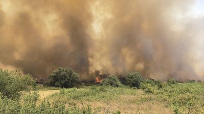 Пожар край пловдивското село Скутаре възникна този следобед Огънят бързо