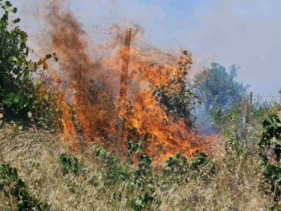 Пожар е избухнал в село Димитриево община Чирпан съобщиха от