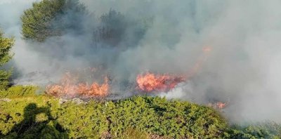 Пожарите обхванали България през последните дни възродиха за пореден път
