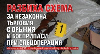 Разбиха схема за незаконна търговия с оръжия и боеприпаси при спецоперация