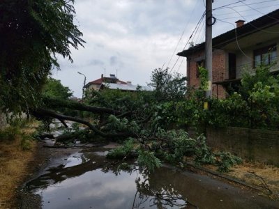 Силна буря се изви в карловския град Баня и повали