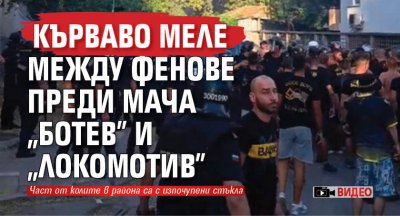 Кърваво меле между фенове преди мача "Ботев" и "Локомотив" (ВИДЕО)