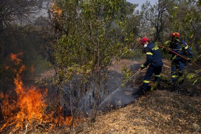 Пожарът в Гърция е на 50 метра от българската бразда