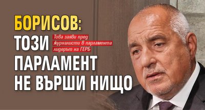Борисов: Този парламент не върши нищо