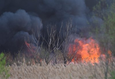 Пожар лумна в землището между пловдивските села Драгомир и Мало