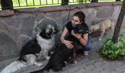 Полицията в Анкара разгони протестиращи срещу законопроекта за бездомните кучета