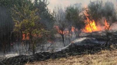 Продължават усилията за потушаване на трите големи горски пожара в