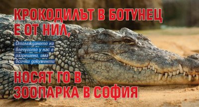 Крокодилът в Ботунец е от Нил, носят го в Зоопарка в София 