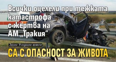 Всички оцелели които са се возили в колата катастрофирала в