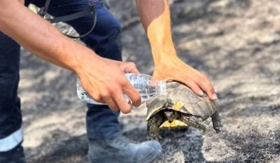 Цяла България говори за този млад пожарникар