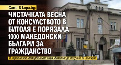 Само в Lupa.bg: Чистачката Весна от консулството в Битоля е порязала 1000 македонски българи за гражданство