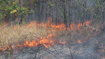 Продължава гасенето на пожара край Вършец